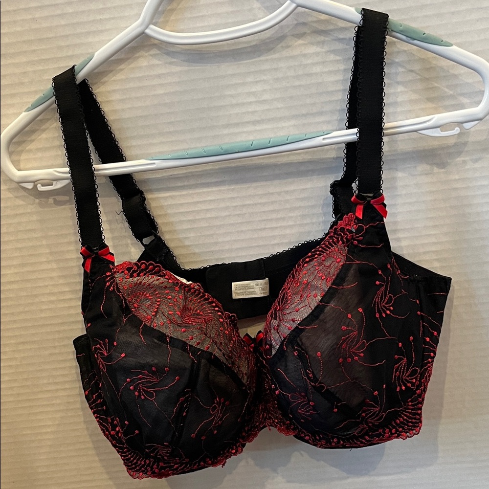 Chic Black and Red Embroidered Bra